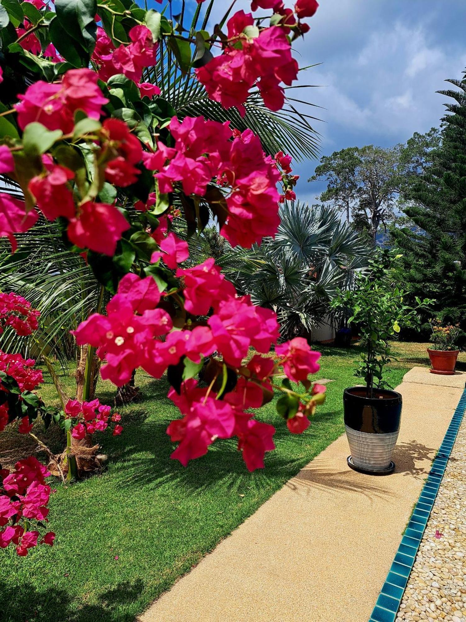 Laura Guest House-Adult Only- Hua Thanon  Ngoại thất bức ảnh