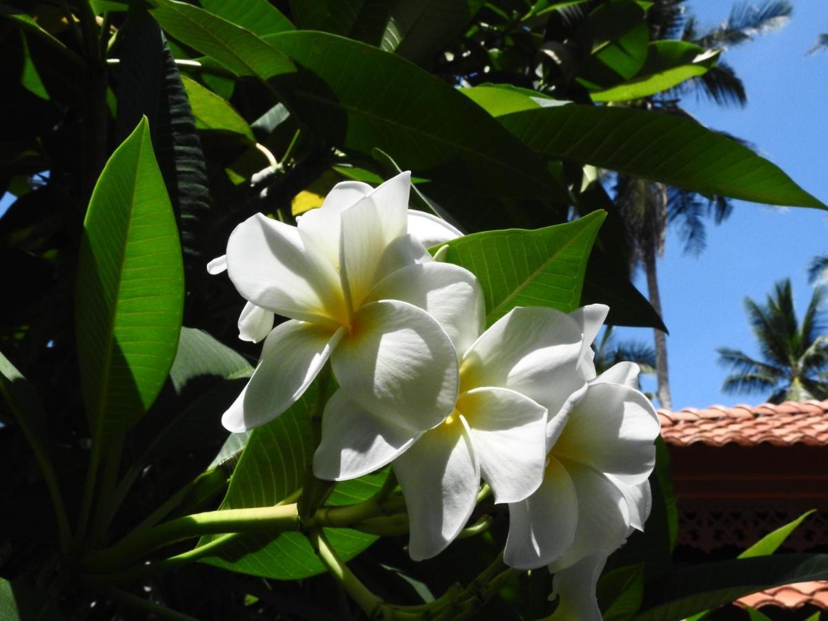 Laura Guest House-Adult Only- Hua Thanon  Ngoại thất bức ảnh